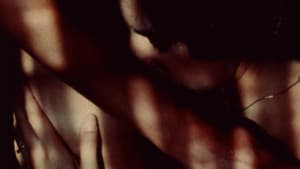 Sweet Love Remembered — foto 2