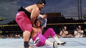 WrestleMania IX: Becoming a Spectacle — foto 2