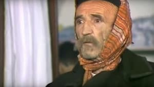 Đekna još nije umrla, a ka' će ne znamo — foto 1