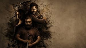 സിക്കാഡ — foto 1
