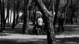Tre corti di Juanma Carrillo — foto 1