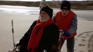 Le monde de Marty — foto 5