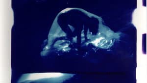 Marasmus — foto 1