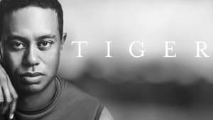 Tiger — foto 5