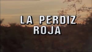 Episodio 77