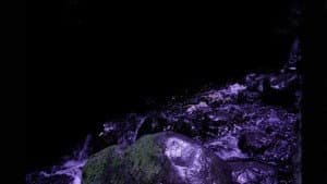 Journey to the Center of the Sound — foto 11