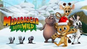 Madagascar: Algo salvaje un Ganso en las fiestas — foto 3