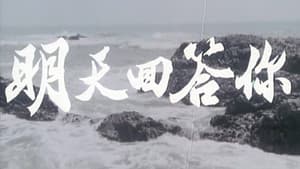 明天回答你 — foto 2