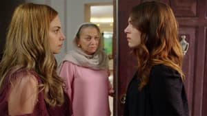 Episodio 29