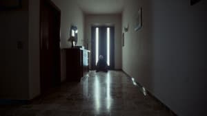 Noi — foto 2