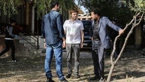 Episodio 7