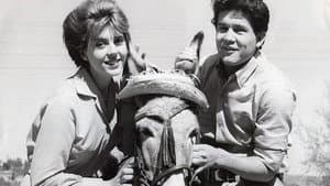 ¡Cómo te extraño...! — foto 2