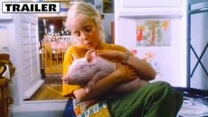 Rennschwein Rudi Rüssel — foto 1