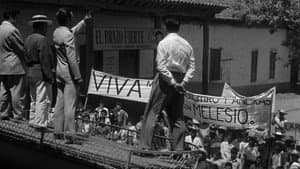 El Brazo Fuerte — foto 2