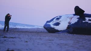 Last of the Right Whales — foto 1
