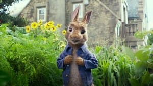 Las travesuras de Peter Rabbit — foto 7
