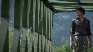 Zweitland — foto 1