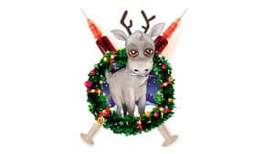 Reindeerspotting – pako Joulumaasta — foto 7