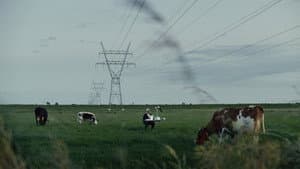 We Were Here Once — foto 1