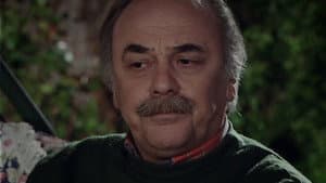 Episodio 29