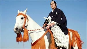 暴れん坊将軍 — foto 1