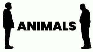 ANIMALS — foto 1