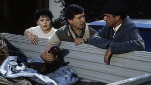 Episodio 5
