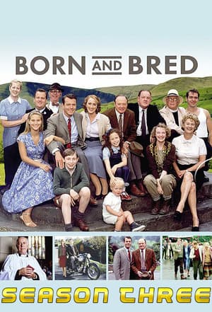 Temporada 3