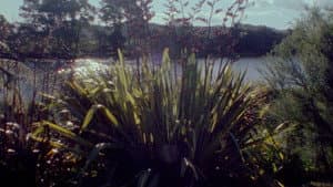 When It Was Blue — foto 10