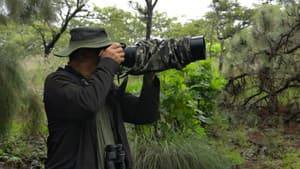 Fusil Fotográfico — foto 1