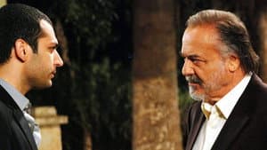 Episodio 25