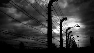 Die Wahrheit über den Holocaust — foto 2
