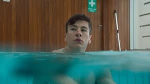Mammal — foto 7