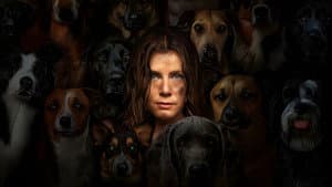 Canina — foto 4