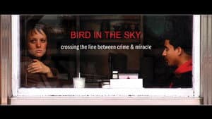 BIRD IN THE SKY — foto 1