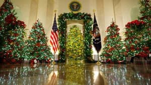 White House Christmas — foto 2