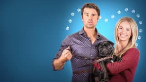 The Dog Lover's Guide to Dating — foto 7