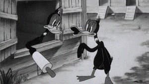 Wise Quacks — foto 1