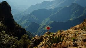 Mexico: Earth's Festival of Life — foto 2