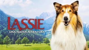Lassie: Una nueva aventura — foto 12