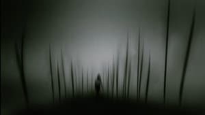 The Night That Didn't End — foto 5