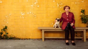 Miss Merkel - Mord auf dem Friedhof — foto 1