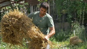 Le potager de mon grand-père — foto 6