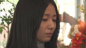 ソドムの林檎 — foto 3