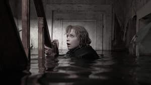 De storm — foto 1