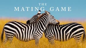 The Mating Game — foto 10