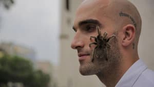 Episodio 6
