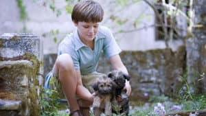 My Family and Other Animals — foto 7