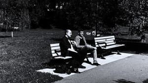 A Talk in the Park — foto 1