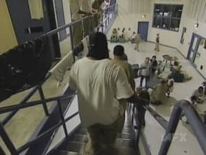 Episodio 6